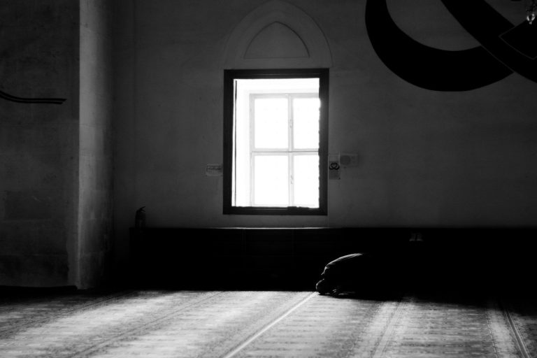 A dog laying on the floor in front of a window
